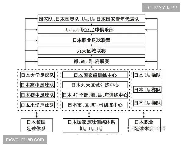 青训规则详解:足球青训体系中的基本管理与执行标准 青训规则详解:足球青训体系中的基本管理与执行标准